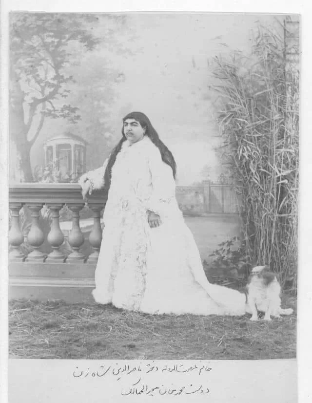 Portrait of Princess Qajar often shared online
